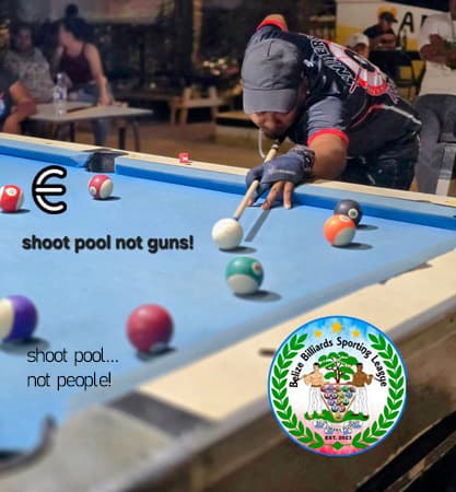 Shoot Pool, Not Guns campaign artwork